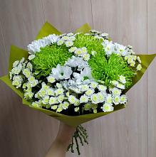 Букет цветов из:  Хризантемы #REPLACE_PRED# Бурмакино
